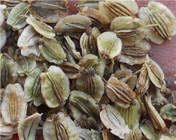 幾種常見的中草藥，趕緊收著吧