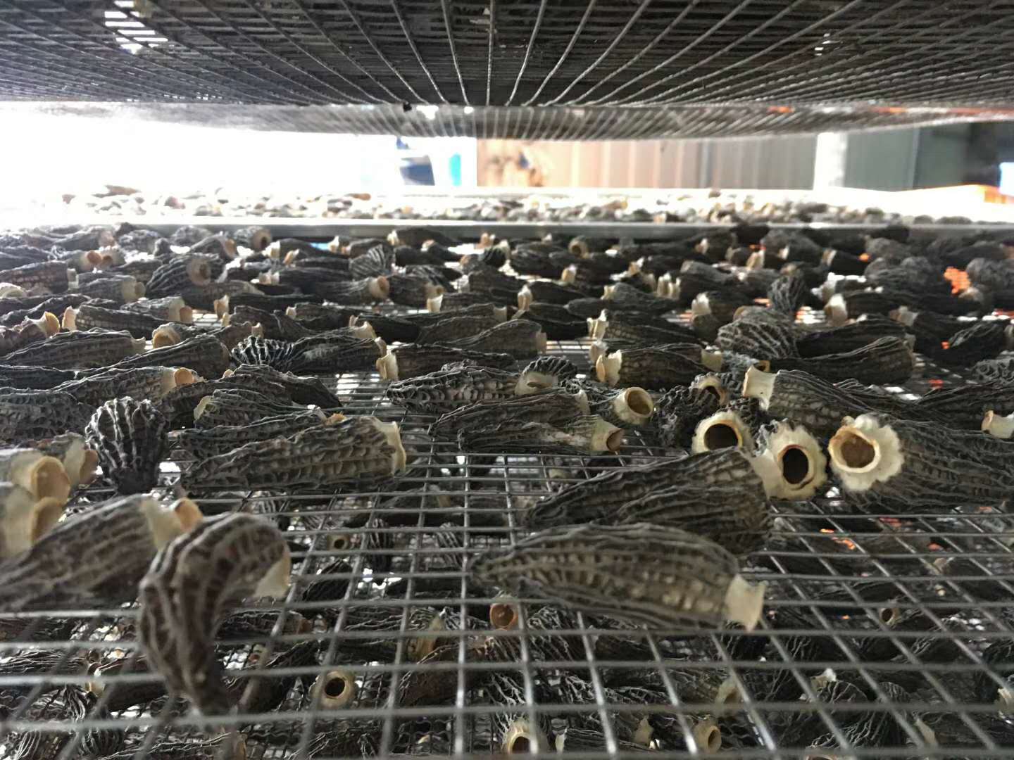 四川果蔬烘干機