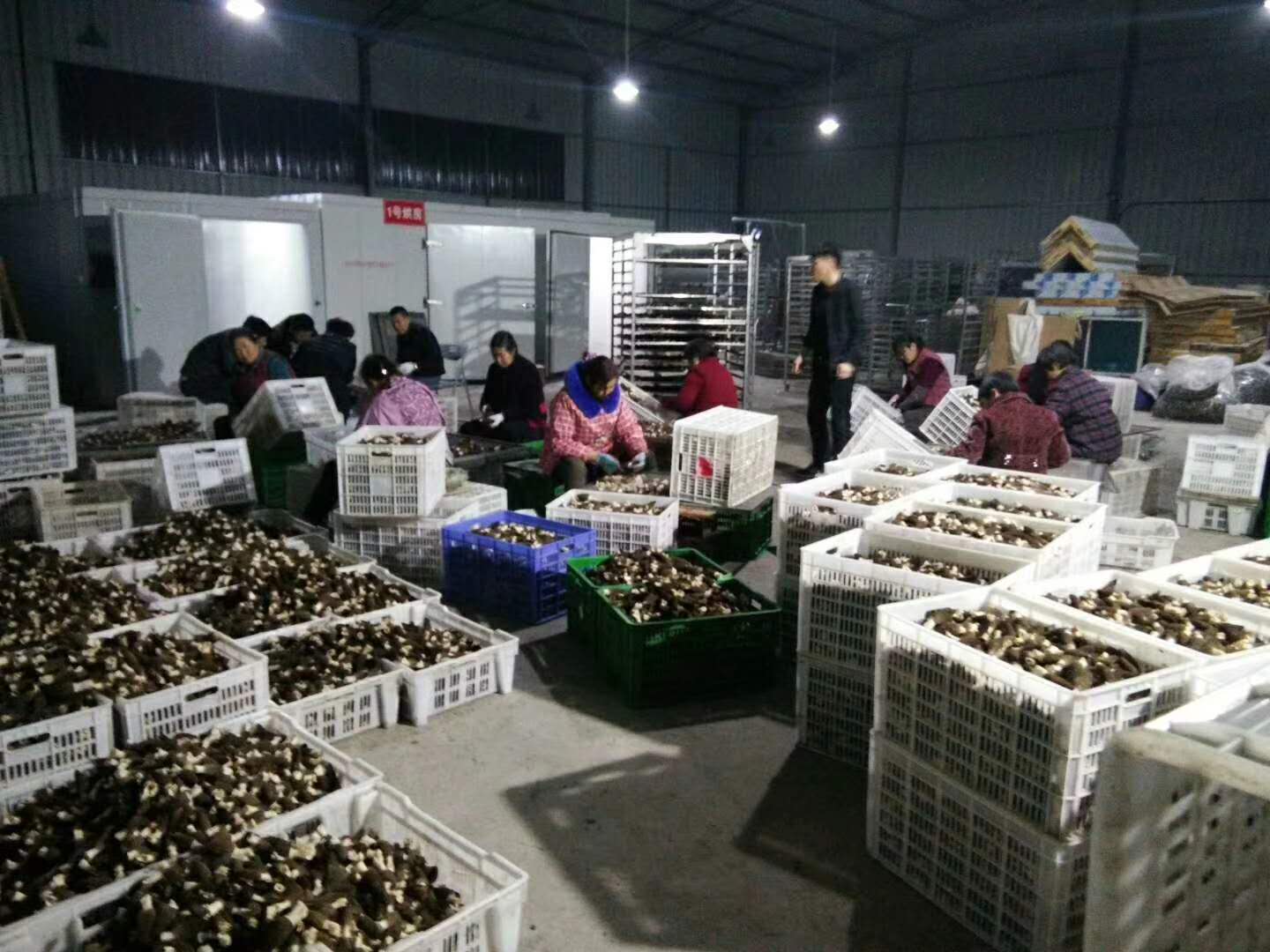 四川果蔬烘干機