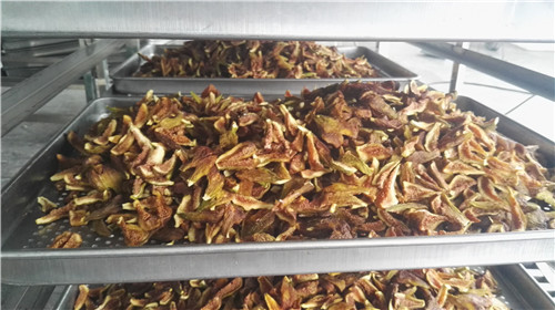 四川果蔬烘干機