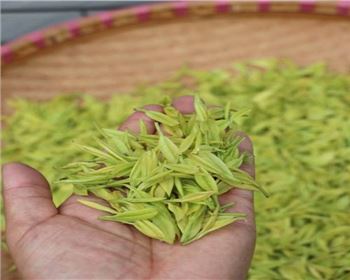 四川果蔬烘干機的好處有哪些呢？